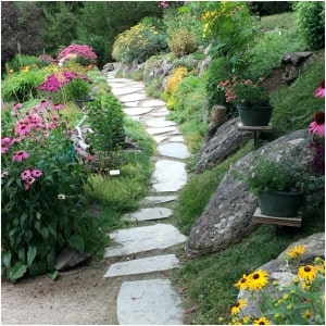 Yampa River Botanic Park