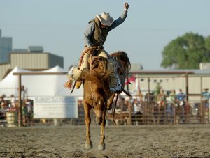 Ranches For Sale In Steamboat Springs Colorado