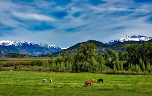 Steamboat Springs land for sale